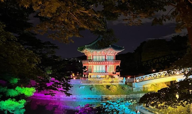 Auf der Reise durch die „Sternenlicht-Tour im Gyeongbokgung-Palast”