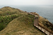 Genießen Sie die verborgenen Schönheiten der Insel Jeju zu Fuß!