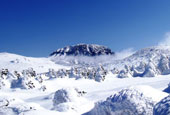 Genießen Sie die Aussicht: Winterfestival am Berg Hallasan