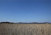 Natur und Menschen, Tradition und Moderne koexistieren in Suncheon