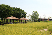 Sommerzeit im Haneul-Park