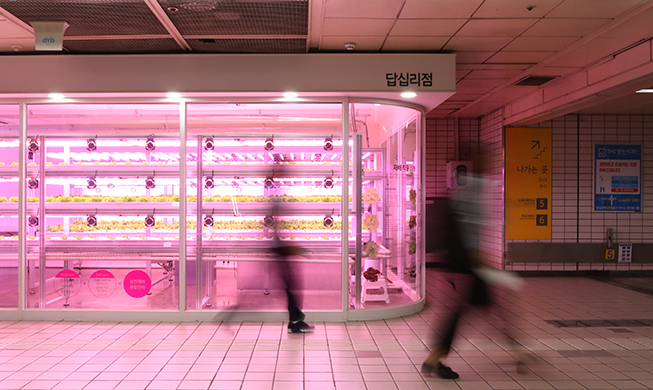 Die vielen Facetten von U-Bahn-Stationen in Seoul