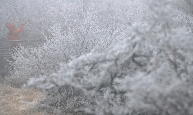 Wintereinbruch: Der erste Schnee küsst den Hallasan-Berg