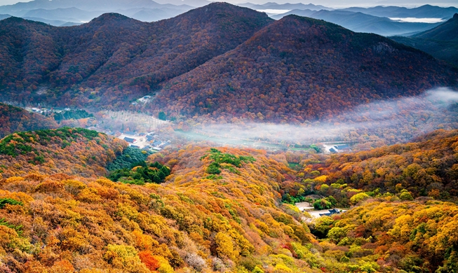 Korea Tourism Organization empfiehlt fünf Orte für das Herbstlaub