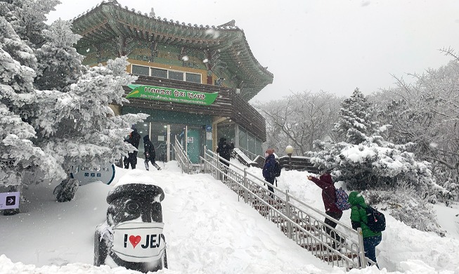 „Die Eiskönigin” auf dem Berg Hallasan in Jeju