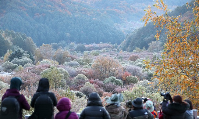 Atemberaubender Blick auf die frostige Herbstlandschaft im Geheimnisgarten