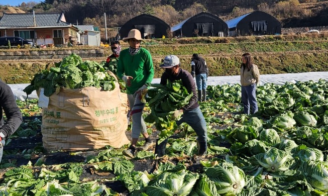 Entlastung bei der Pflegeversicherung für ausländische Saisonarbeitskräfte