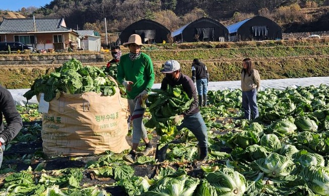 Zahl der ausländischen Arbeitskräfte wird im nächsten Jahr auf 191.000 begrenzen