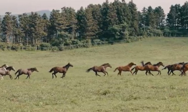Koreanische Geschichte über Pferde anlässlich des Jahres des Feuerpferdes