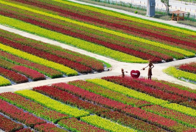 Goseokjeong Flower Garden