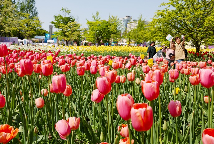 International Horticulture Goyang Korea 2026