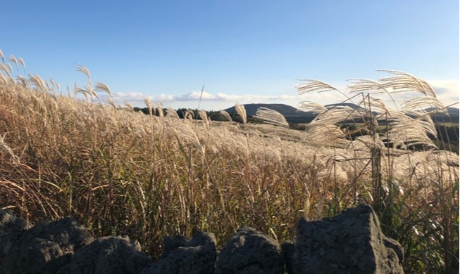 Reiseempfehlung für den Herbst in Korea: Insel Jeju