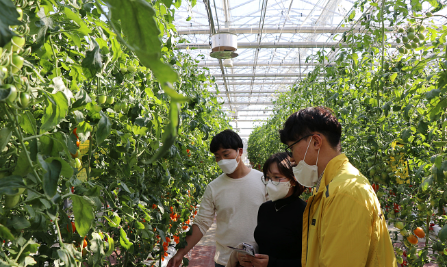 KOREA SEED EXPO 2024 findet für die Globalisierung vom K-Saatgut statt