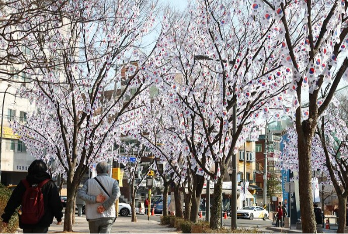 Taegeukgi an Bäumen