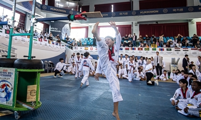 Taekwondo Wettbewerb Festival 2024 für Ausländer findet am 28. September statt