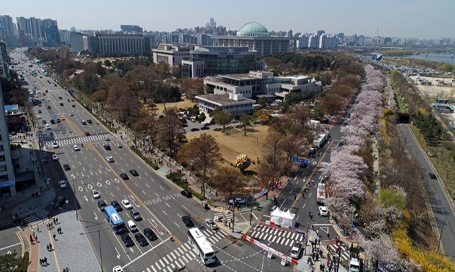 Die Yeouido-Kirschblütenstraße öffnet nach 3 Jahren wieder