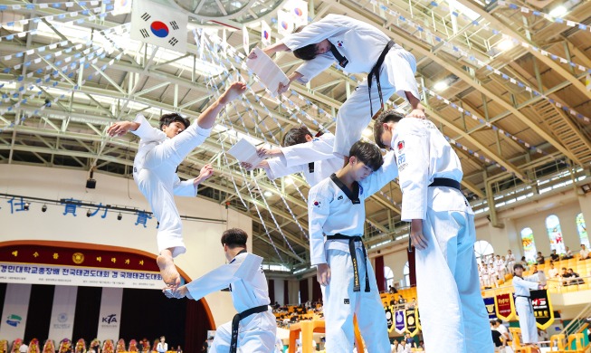 Korea plant, Taekwondo in die UNESCO-Liste als das gemeinsame Immaterielle Kulturerbe mit Nordkorea aufzunehmen