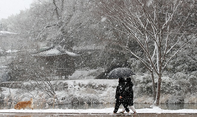 Starke Schneefälle in Südkorea