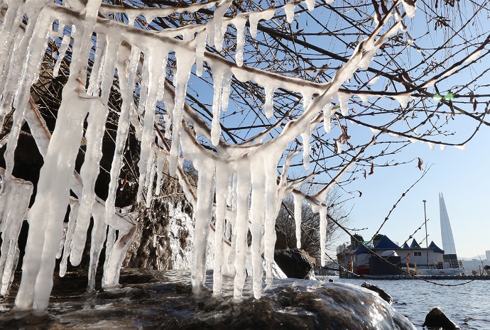 Eiszapfen an den Baumzweigen