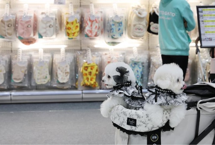 Christmas Seoul Pet Show