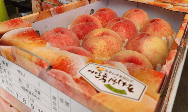 [K-Food Festival ③] Jochiwon Peach Festival 2024