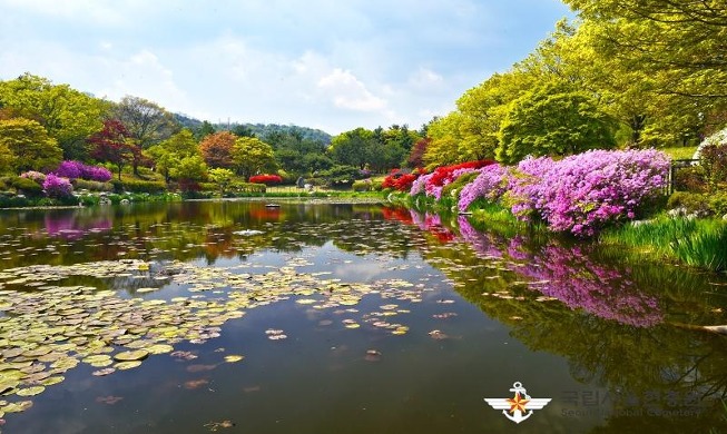 Veranstaltung in der Sommernacht auf dem Nationalfriedhof Seoul