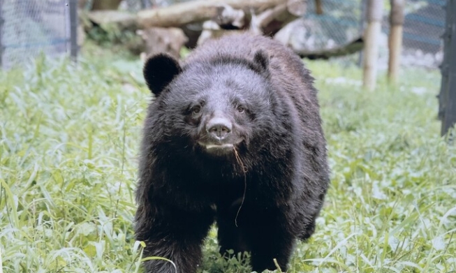 [Koexistenz von Mensch und Tier] ② Tier-Sanctuary: Ein Schutzort für Tiere