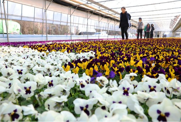 Frühling steht bevor