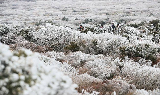 [Korea in Fotos] Der erste Schnee auf dem Berg Hallasan