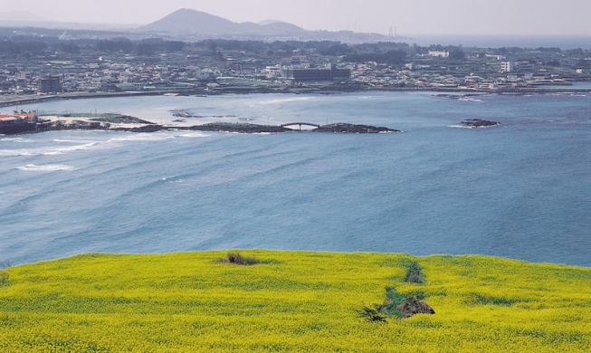 Genießen Sie eine Reise nach Korea im Mai!