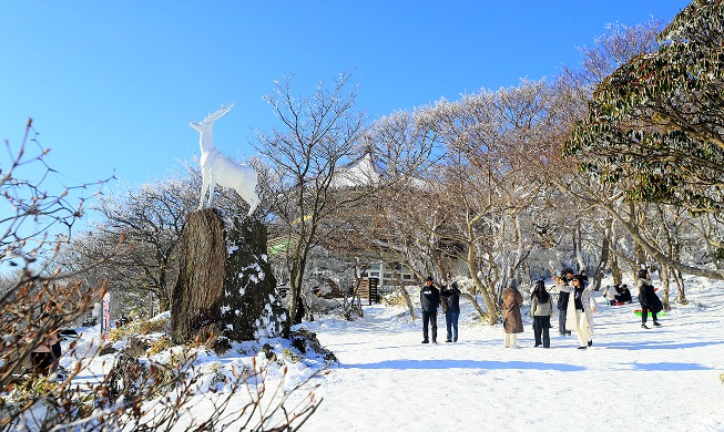 Zauberhafte Winterlandschaft auf der Insel Jeju