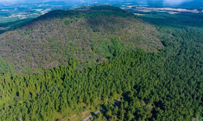 [Exzellenz der koreanischen öffentlichen Verwaltung] ④ Koreanische Wiederaufforstungspolitik