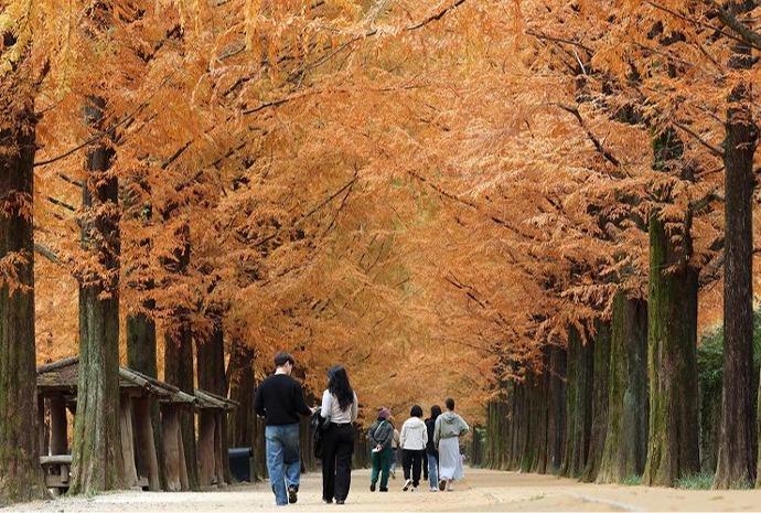 Herbst genießen