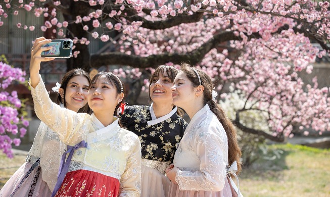 Im Changdeokgung-Palast: Den Frühling in voller Blüte genießen