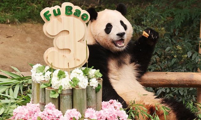 Dritter Geburtstag von Panda-Baby „Fu Bao“