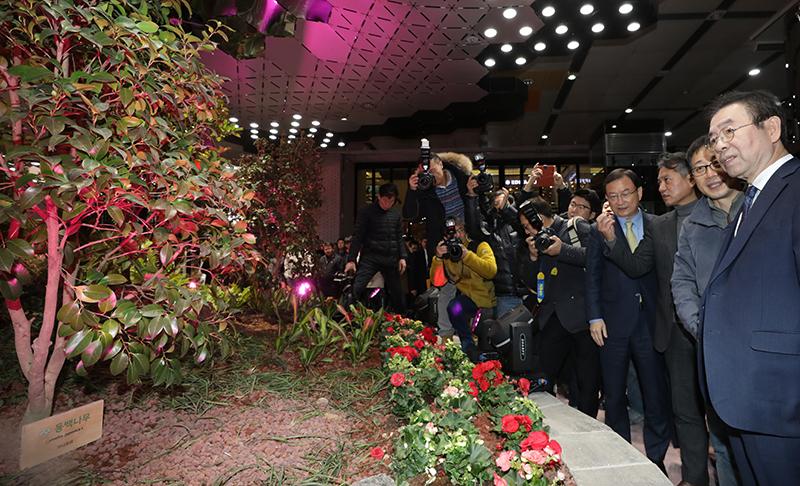 Der Bürgermeister von Seoul, Park Won Soon, nimmt am 13. Dezember an einer Eröffnungsfeier für einen unterirdischen Solargarten am Bahnhof Jonggak in Seoul teil.