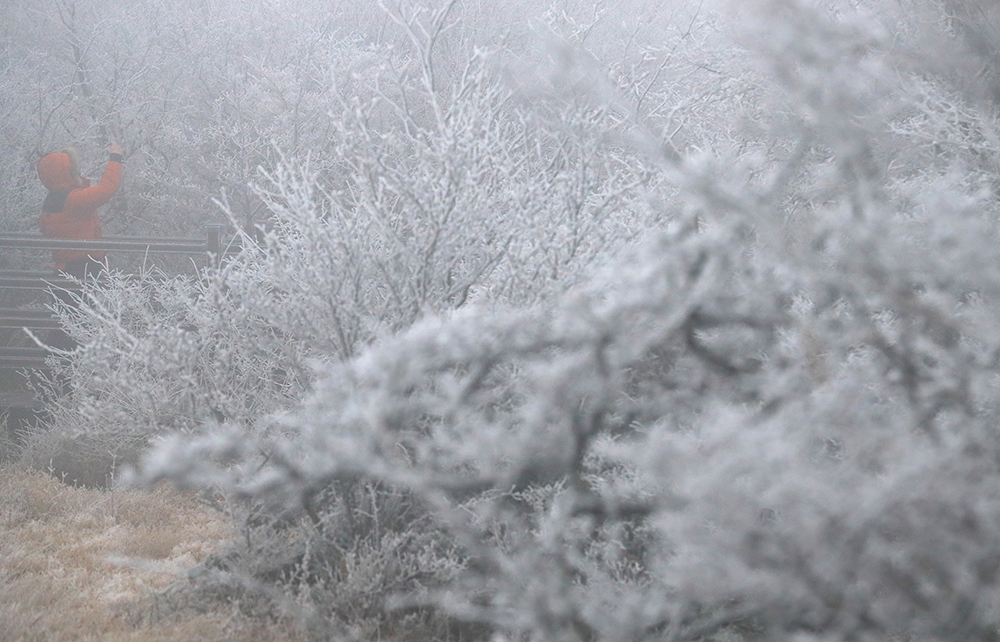 todayphoto_221130