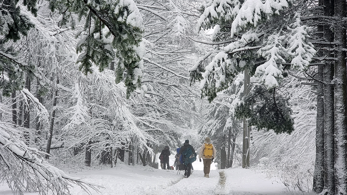 Am 12. Dezember gehen Touristen in der Schneelandschaft im Gebirgspass Daegwallyeong in Pyeongchang in der Provinz Gangwon-do. An dem Tag ist viel Schnee im Berggebiet in der Provinz Gangwon-do gefallen.