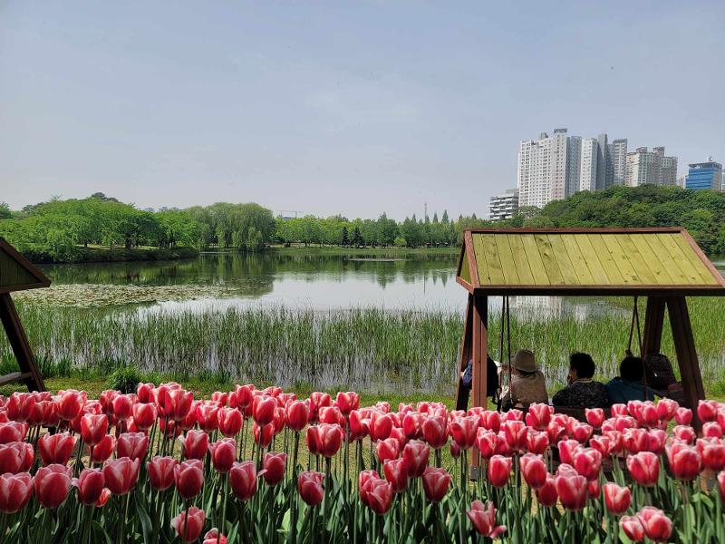 “International Horticulture Goyang Korea 2024” wurde am 26. April im Ilsan Lake Park in Goyang in der Provinz Gyeonggi-do eröffnet. Foto der Besucher, die vor dem See den Frühling genießen.