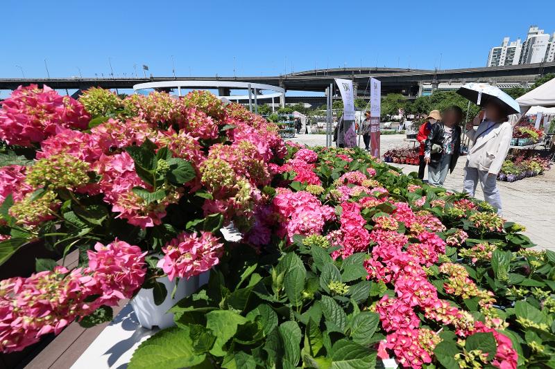 Die Besucher für die “Seoul International Garden Show 2024” schauen am 16. Mai im Ttukseom Hangang Park in Gwangjin-gu in Seoul an. ⓒ Yonhap News
