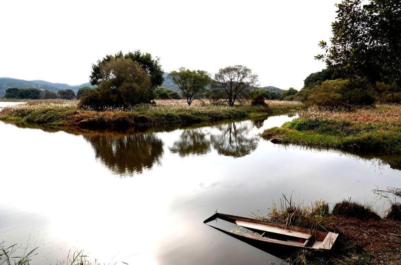 Die ganze Region von Changnyeong-gun wurde am 5. Juli vom 36. Internationale Koordinierungsrat des UNESCO-Programms “Der Mensch und die Biosphäre“ in Agadir in Marokko als das Biosphärenreservat ausgewählt. Foto der Landschaft des Upo-Sumpfs. 
