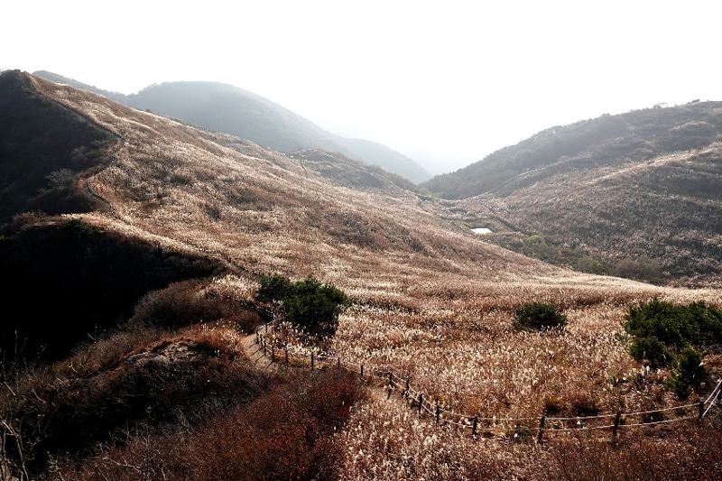 Landschaft des Berges Hwawangsan in Changnyeong-gun