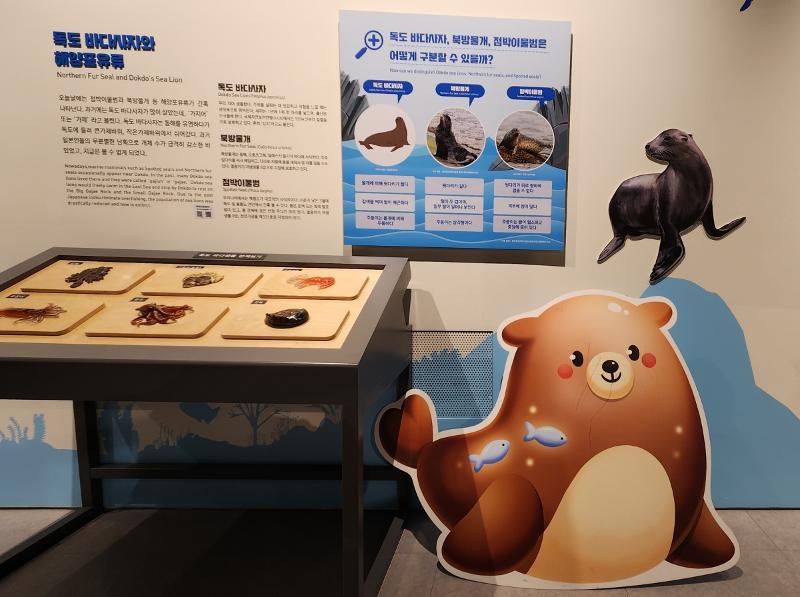 Die Erklärung über Gangchi (Seelöwe) im Dokdo Museum Seoul.