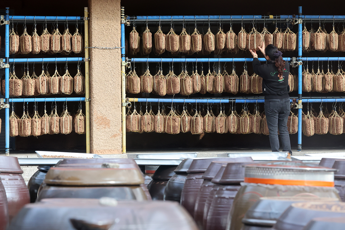 Am 2. Dezember werden Mejus, gekochte Sojahbohnen, am Dachvorsprung in einer Werkstatt für Jang, fermentierte Saucen und Pasten, in Seongsan-myeon, Gangneung, der Provinz Gangwon-do, aufgehängt.