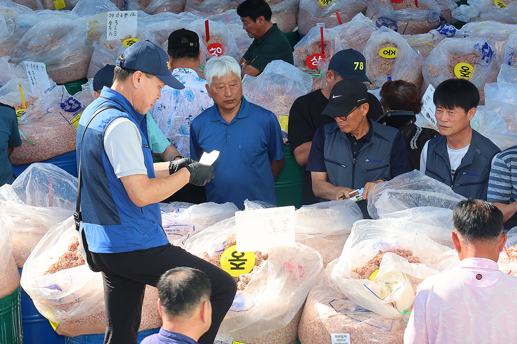 Am 10. September findet die Auktion für fermentierte Krabben auf einem Markt der Fischereigenossenschaft Gyungin-Suhyup in Gwanghwa-gun in Incheon statt. Die fermentierten Krabben sind ein wichtiges Lebensmittel für die Zubereitung von Kimchi.