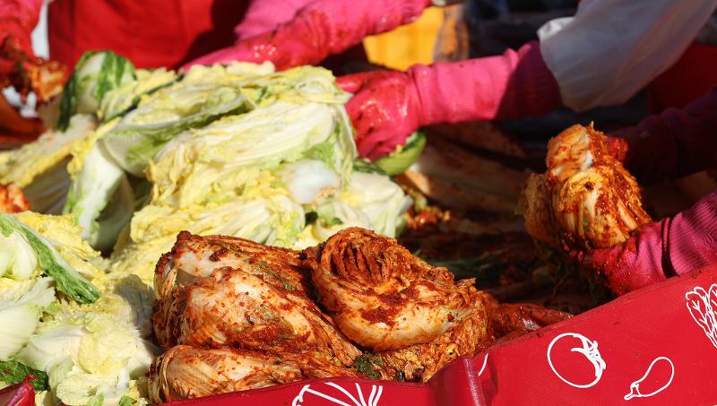 ﻿“kimchi cabbage” wurde als eine neue Bezeichnung für Kohl, den Rohstoff für die Herstellung von Kimchi, offiziell anerkannt ⓒ Korea.net DB 