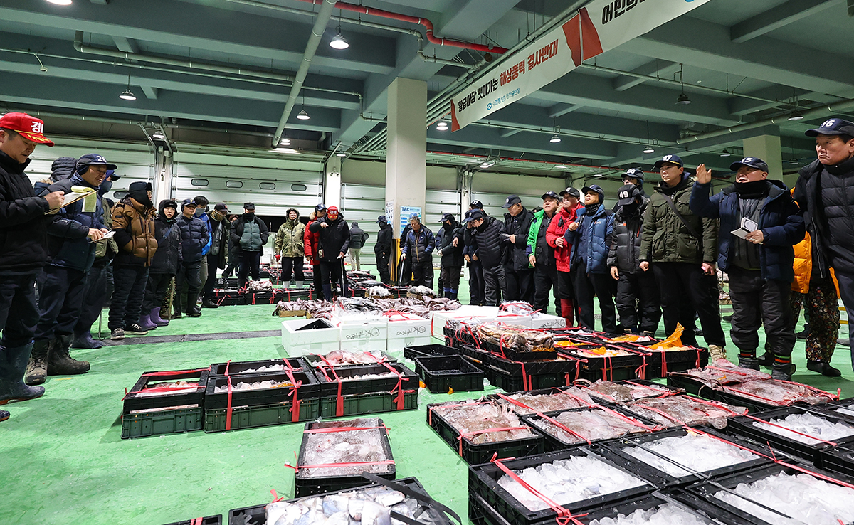 Am 2. Januar findet die erste Auktion des Jahres 2026 auf dem Fischmarkt der koreanischen Genossenschaft in Jung-gu, Incheon, statt.