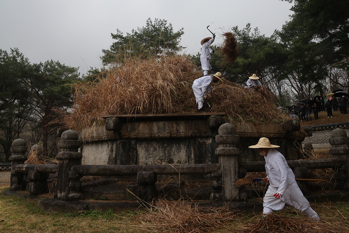 Am 6. April schneiden Mitarbeiter des Verwaltungsb&uuml;ros der Donggureung-Gr&auml;ber in Guri in der Provinz Gyeonggi-do das Silbergras auf den H&uuml;gelgr&auml;bern.
