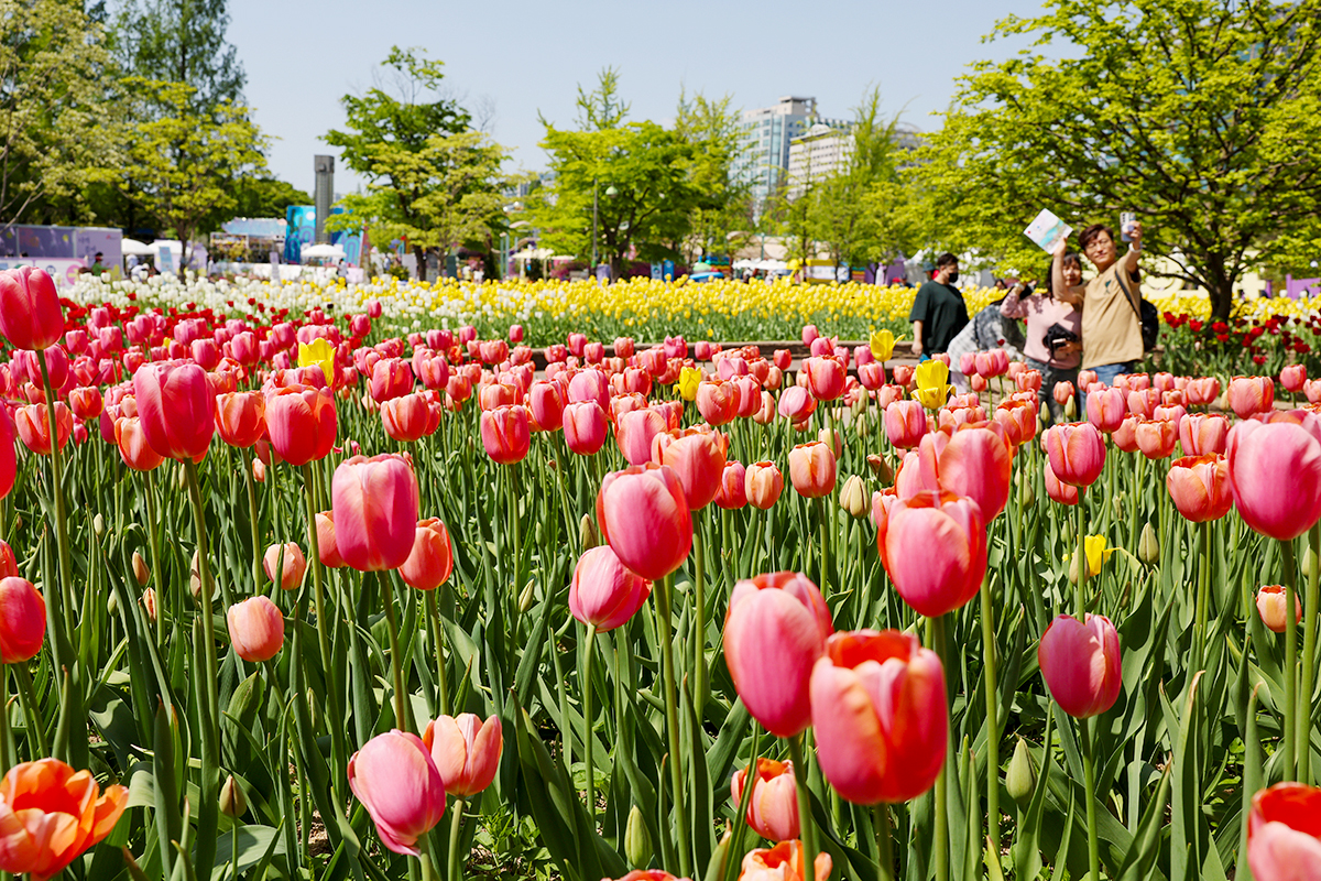 Am 30. April genie&szlig;en Besucher bei der &bdquo;International Horticulture Goyang Korea 2026