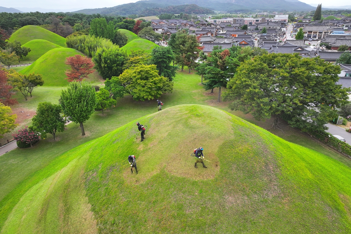 Am 18. September, kurz vor Chuseok, m&auml;hen Arbeiter auf den K&ouml;nigsgr&auml;bern und anderen wichtigen Tumuli im Daereungwon in Gyeongju in der Provinz Gyeongsangbuk-do das Gras.